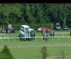 Video preview image for Leopardstown 16:00 - Willis Towers Watson Champions Juvenile Stakes (Group 3)