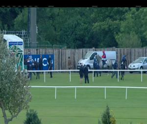 Video preview image for Leopardstown 18:45 - QIPCO Irish Champion Stakes (Group 1) 