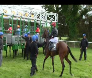 Video preview image for Listowel 14:05 - Foran Equine Irish European Breeders Fund Auction Fillies Maiden 