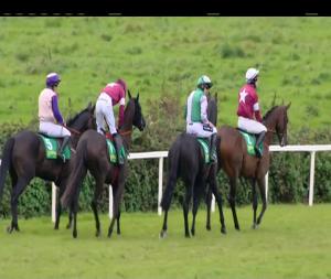 Video preview image for Listowel 14:15 - Sean T. McElligott Memorial Novice Hurdle 