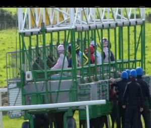 Video preview image for Listowel 14:35 - Listowel Arms Handicap