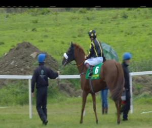 Video preview image for Listowel 15:35 - Seamus Mulvaney Handicap 