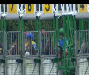 Video preview image for Listowel 15:40 - Irish Stallion Farms European Breeders Fund Fillies Handicap