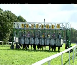 Video preview image for Listowel 15:50 - Behans Horseshoe Bar & Restaurant Handicap
