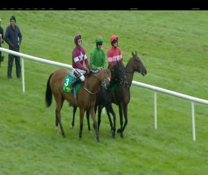 Video preview image for Listowel 16:35 - Ballygarry House Hotel Novice Hurdle