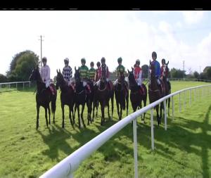 Video preview image for Listowel 17:20 - Ladbrokes Ireland Handicap Hurdle (Grade B)