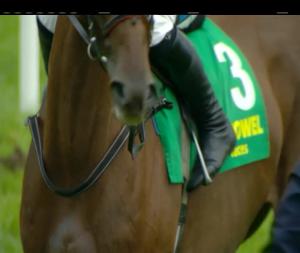 Video preview image for Listowel 17:35 - Listowel Vintners Association I.N.H. Flat