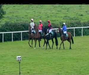 Video preview image for Listowel 17:40 - Listowel Races Supporters Club Slan Abhaile (Pro/Am) I.N.H. Flat