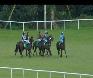 Video preview image for Listowel 17:50 - Listowel Printing Works Irish European Breeders Fund Mares (Pro/Am) I.N.H. Flat