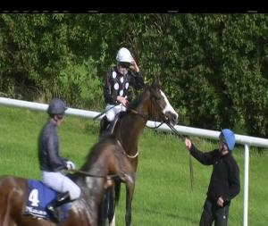 Video preview image for Naas 15:00 - Loughbrown Stakes (Group 3) 