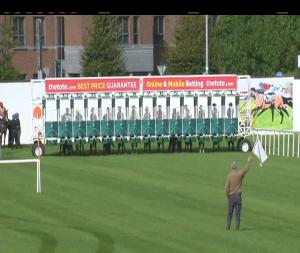 Video preview image for Naas 15:30 - Foran Equine Irish European Breeders Fund Auction