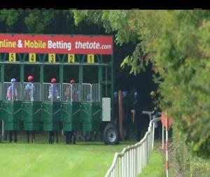 Video preview image for Navan 13:45 - Foran Equine Irish European Breeders Fund Auction Maiden