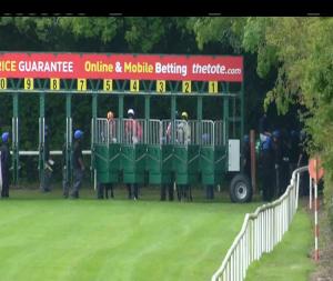 Video preview image for Navan 14:20 - Irish Stallion Farms European Breeders Fund 