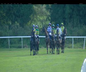 Video preview image for Roscommon 16:30 - Irish Stallion Farms European Breeders Fund Handicap Chase