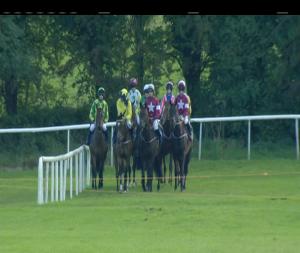 Video preview image for Roscommon 17:00 - Roscommon On-Course Vets Maiden Hurdle