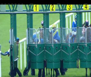 Video preview image for Roscommon 17:45 - Irish Stallion Farms European Breeders Fund Fillies Maiden 