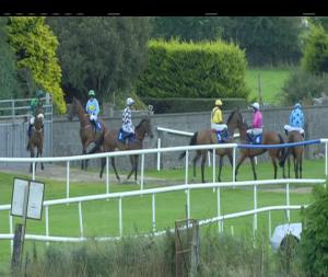 Video preview image for Roscommon 18:45 - Roscommon Rated Hurdle 