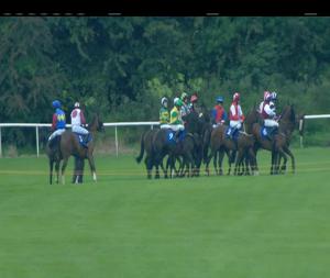 Video preview image for Roscommon 19:15 - Irish Stallion Farms European Breeders Fund Handicap Hurdle