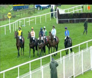 Video preview image for Sligo 17:30 - Brenda Anderson Memorial Handicap Chase