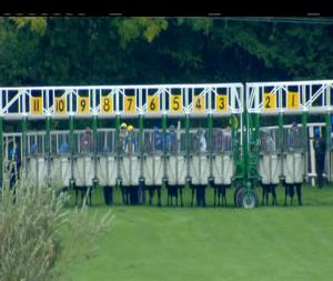 Video preview image for Tipperary 14:15 - Welcome To Tipperary Races Maiden 