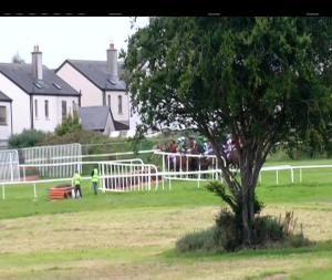 Video preview image for Wexford 14:00 - Audrey McGrath Memorial Maiden Hurdle 