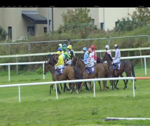 Video preview image for Wexford 14:35 - Garry Flood Landscaping Mares Handicap Hurdle 