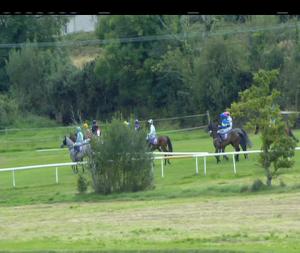 Video preview image for Wexford 15:45 - M2 Construction Mares Maiden Hurdle 
