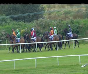 Video preview image for Wexford 16:55 - John Cullen Grain Ltd. Handicap Chase