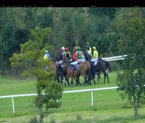 Video preview image for Wexford 17:30 - Irish Stallion Farms European Breeders Fund Handicap Chase