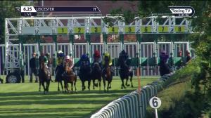 Video preview image for Leicester 18:25 - British Stallion Studs EBF Novice Stakes (4)