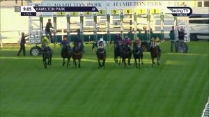 Video preview image for Hamilton Park 21:05 - Racing TV Profits Returned To Racing Handicap (5)