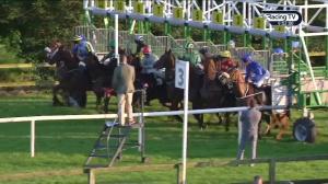 Video preview image for Bellewstown 21:00 - Tote Fillies Maiden