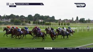 Video preview image for Sandown Park 14:25 - Coral Challenge (Handicap) (2)
