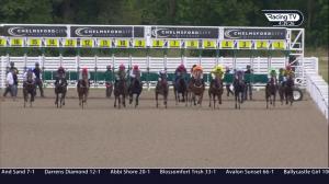 Video preview image for Chelmsford City 16:35 - Double Delight Hat-Trick Heaven At totesport.com Handicap (6)