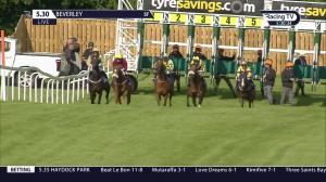 Video preview image for Beverley 17:30 - D&P Express Pallet Delivery Novice Stakes (5)