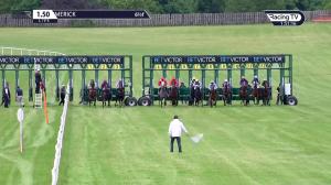 Video preview image for Limerick 13:50 - Follow Limerick Racecourse On Facebook Handicap