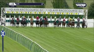 Video preview image for Ayr 14:30 - Toteexacta Handicap (6)