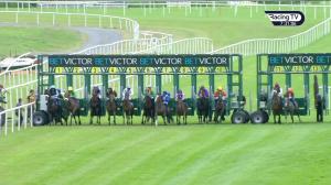 Video preview image for Roscommon 19:30 - Irish Stallion Farms European Breeders Fund Fillies Maiden 