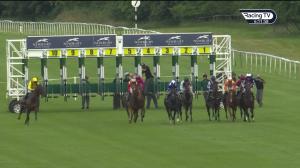Video preview image for Newbury 18:10 - Mirage Signs EBF Novice Auction Stakes (5)