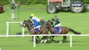 Video preview image for Leopardstown 18:20 - Clayton Hotel Leopardstown Handicap
