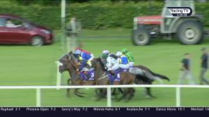 Video preview image for Leopardstown 18:50 - Stunning Handicap