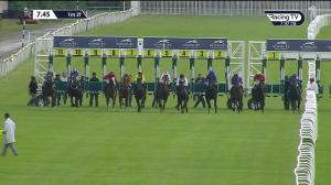 Video preview image for Newbury 19:45 - Kennet Centre Novice Stakes (5)