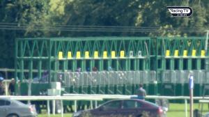 Video preview image for Fairyhouse 15:10 - Irish Stallion Farms European Breeders Fund Brownstown Stakes (Group 3)