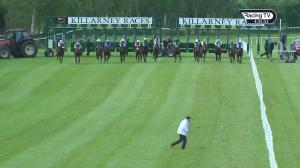 Video preview image for Killarney 16:35 - Tote Maiden 