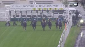 Video preview image for Hamilton Park 18:35 - Bb Foodservice EBF Maiden Stakes (Qualifier) (4)