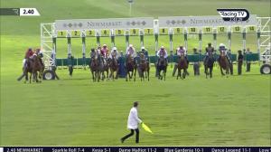 Video preview image for Newmarket 14:40 - Ric and Mary Hambro Aphrodite Fillies' Stakes (Listed) (1)
