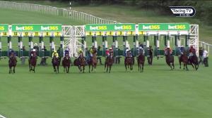 Video preview image for Newbury 16:10 - Bet365 EBF Novice Stakes (4)