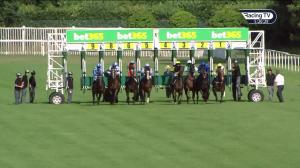 Video preview image for Newbury 17:20 - Grundon Recycling Handicap (2)