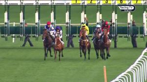 Video preview image for Leicester 20:50 - Mercia Handicap (5)