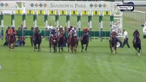 Video preview image for Sandown Park 17:00 - Molson Coors Handicap (5)
